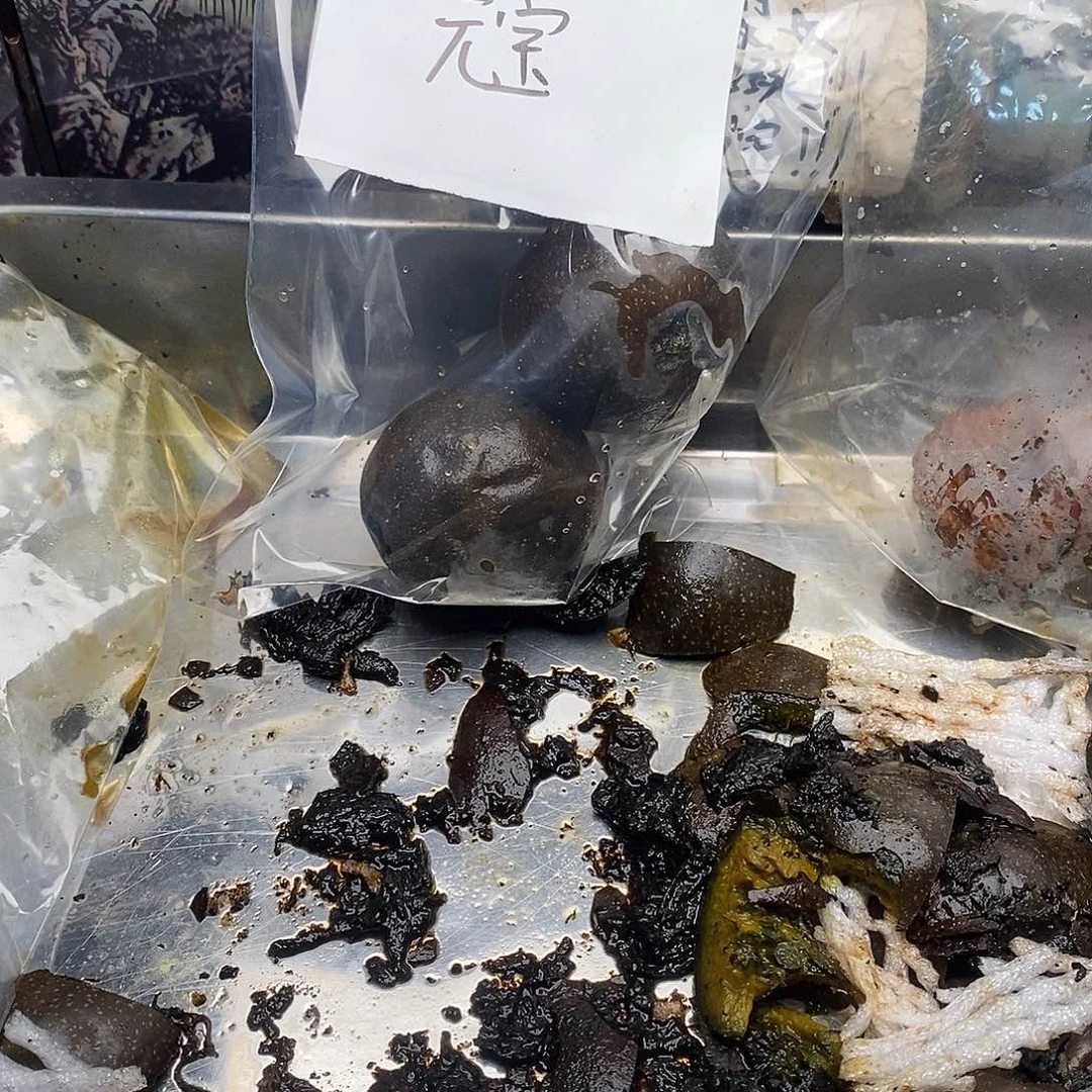 马***奇555555555555555555555555555