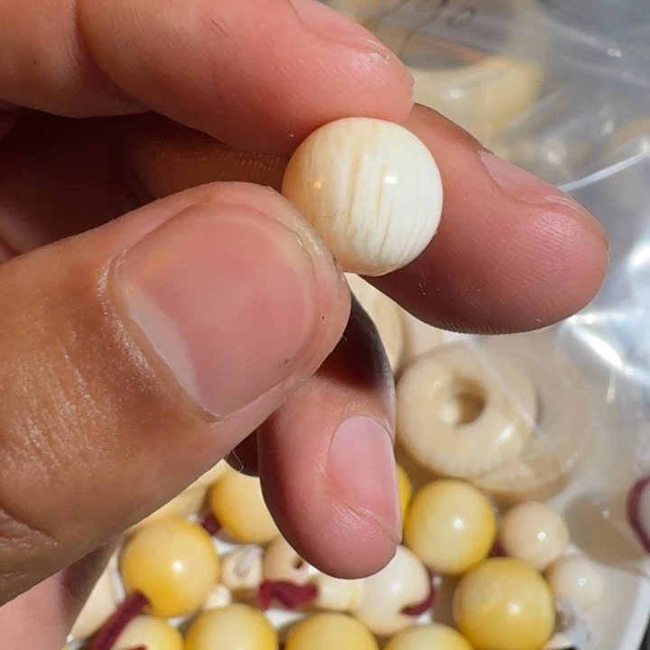 杨***林吊坠菩提根/象牙果