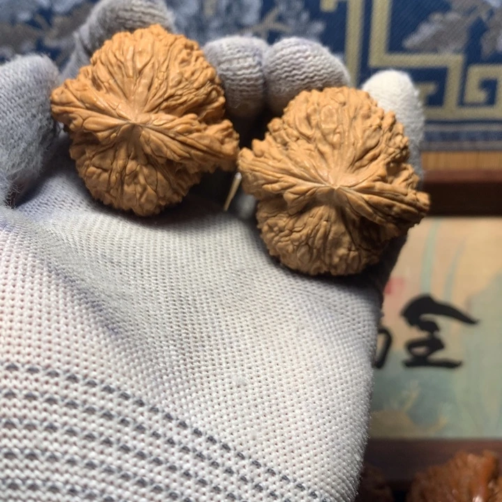 天***秋哈哈哈哈哈哈哈哈哈哈