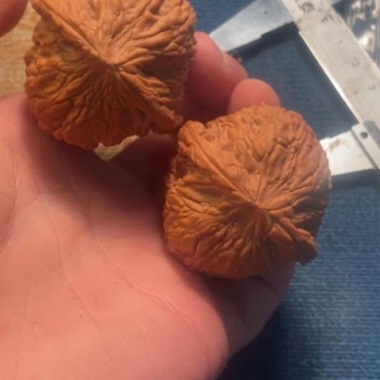 吊坠桃核全品泥鳅43