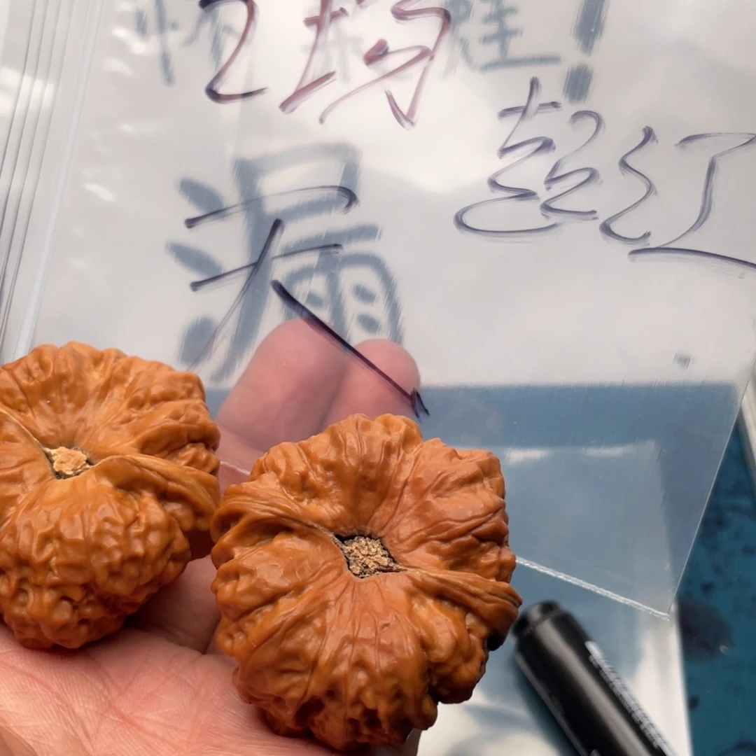 357357573735375733357