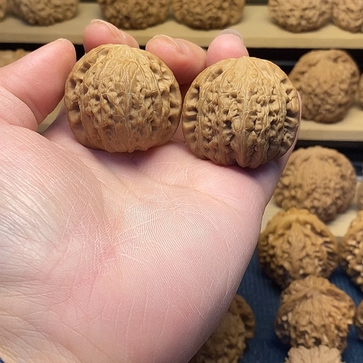 核桃39铁锤妹妹福利