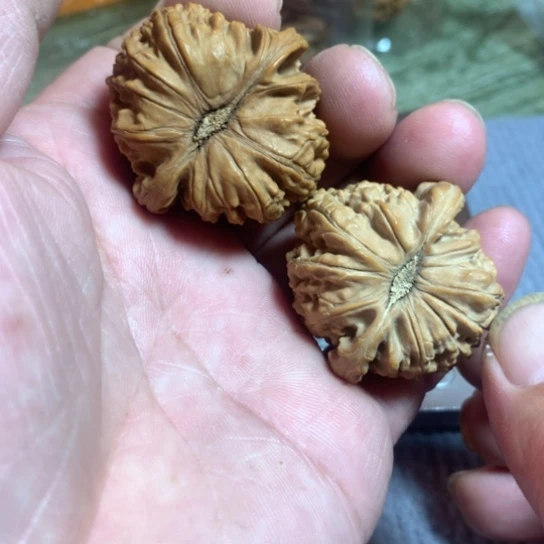 文玩核桃吊坠双色狮子