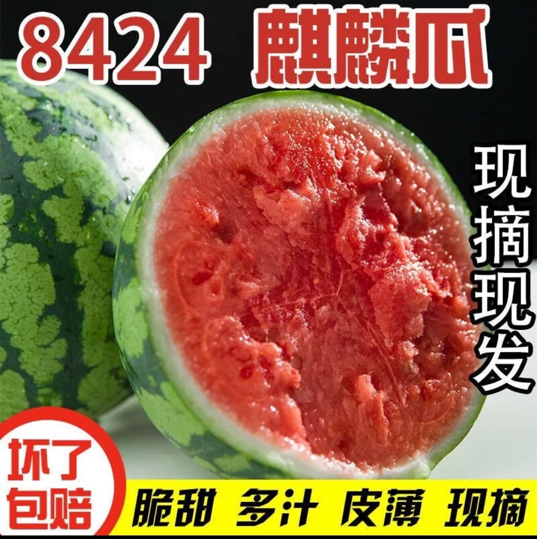 【京东*顺丰包邮】2025新鲜采摘8424麒麟瓜无籽精品头茬西瓜现采摘