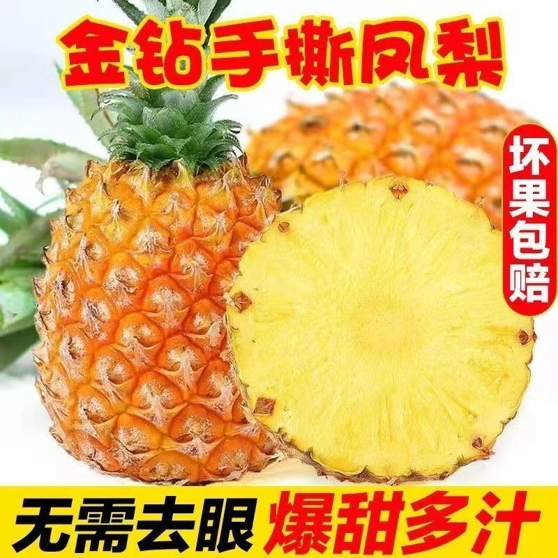 【香甜多汁】正宗海南金钻17号凤梨非香水菠萝