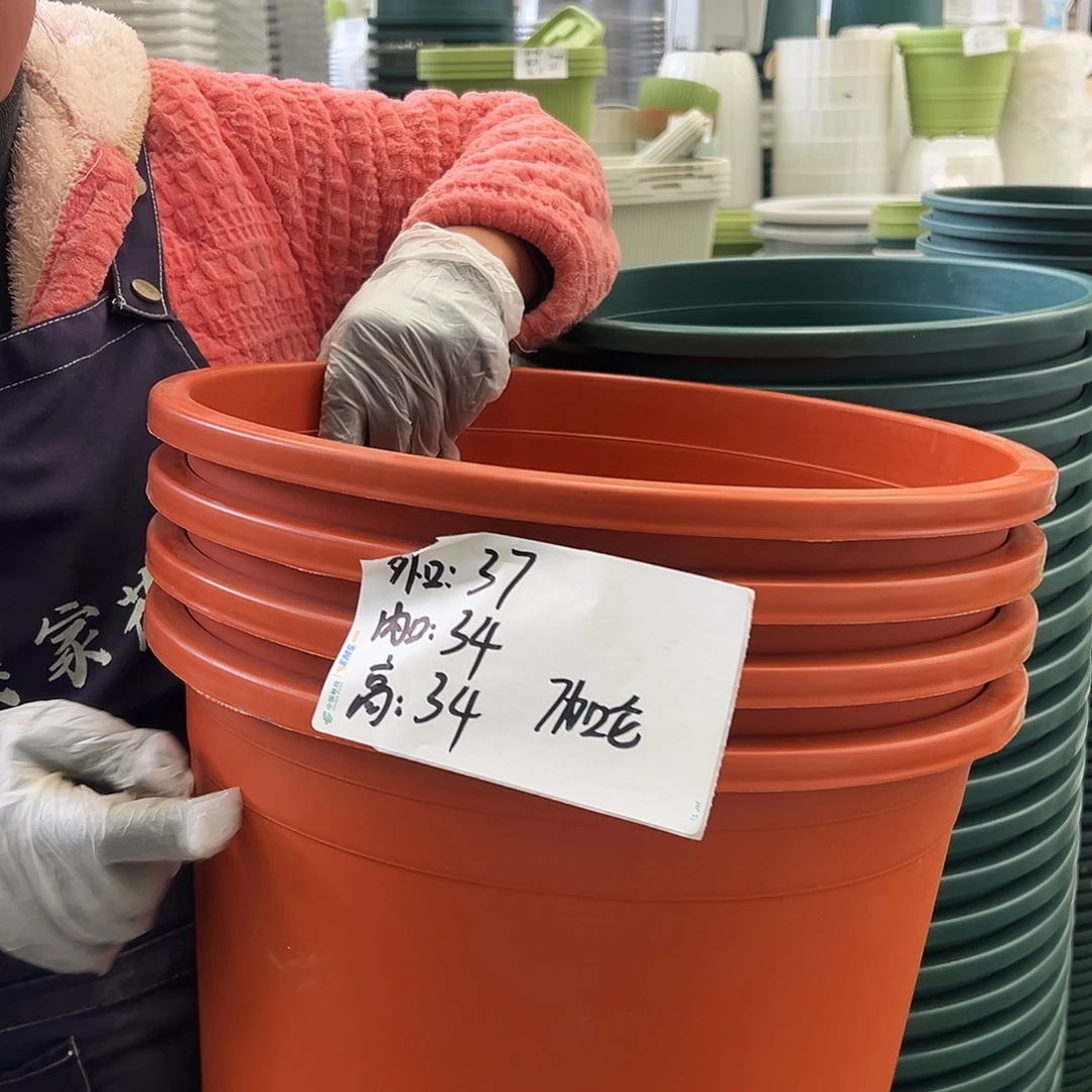 瑕疵7#红色4个无托