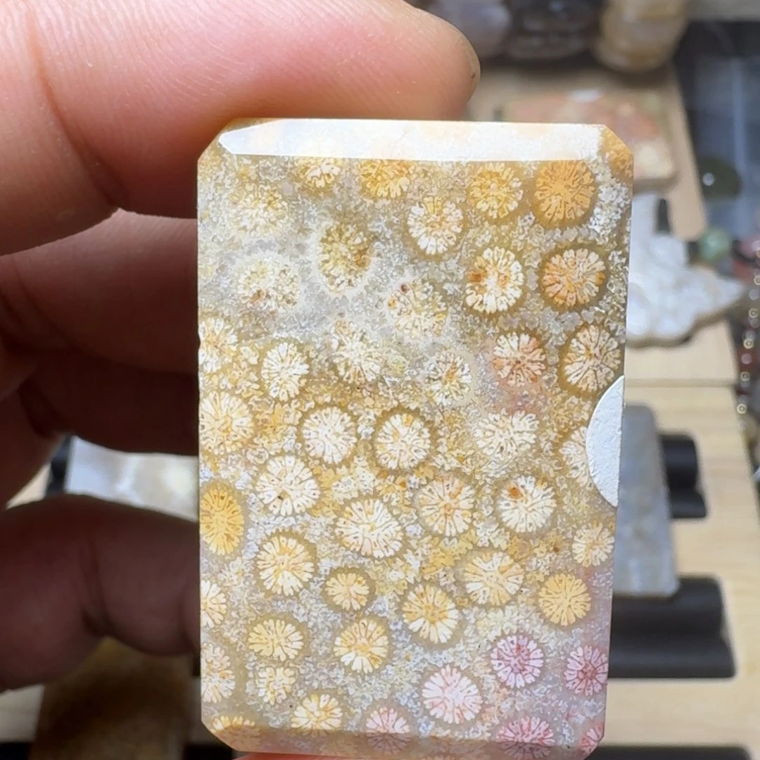 未镶嵌纯天然色有机玉石保真色硅化玉