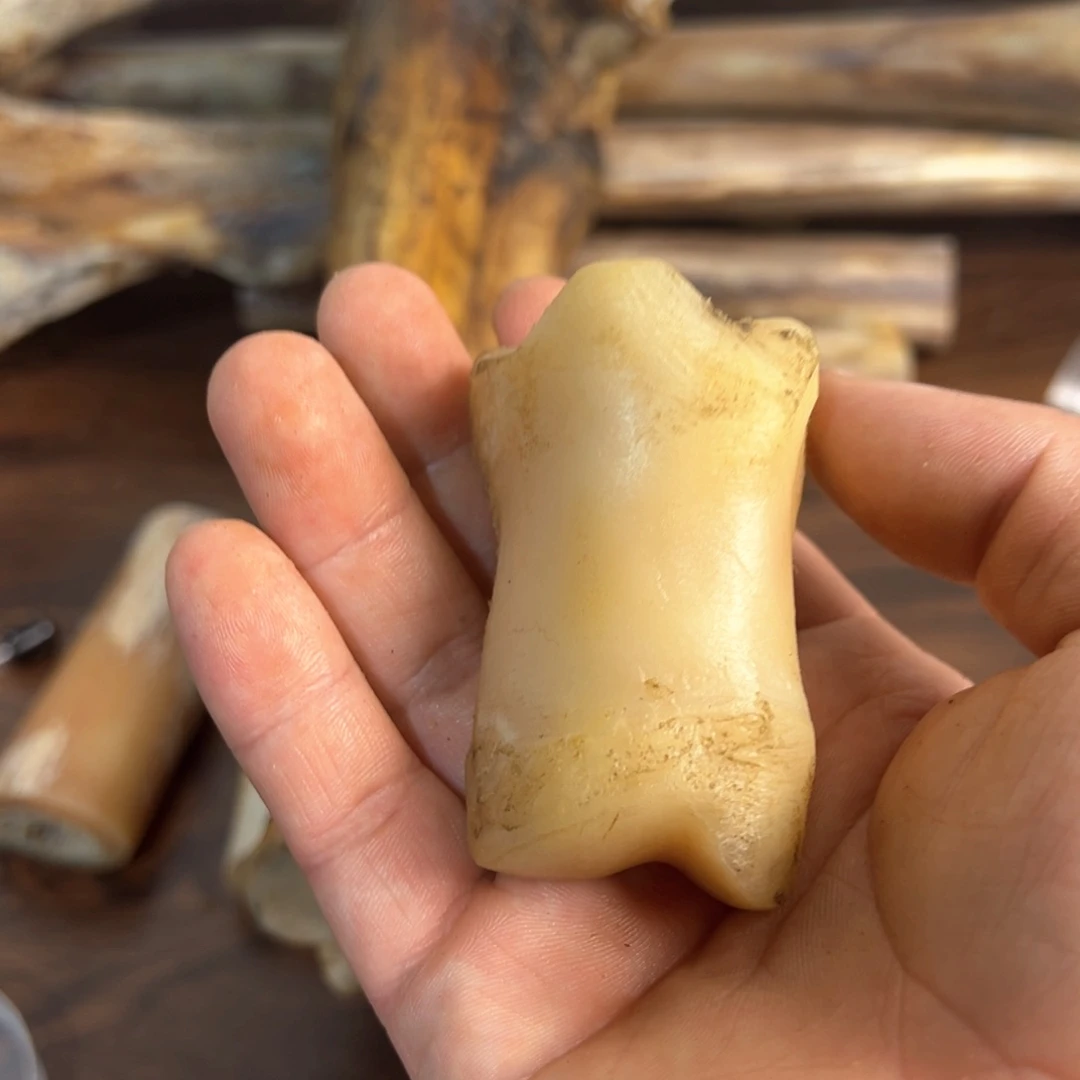 hhhu趾骨趾骨趾骨趾骨