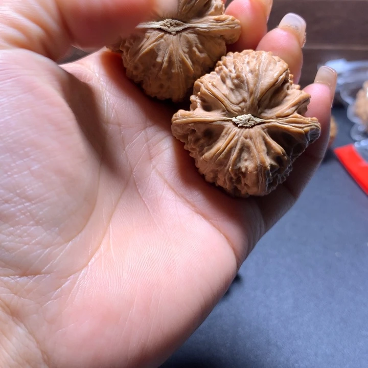 把件文玩核桃小**生白狮子