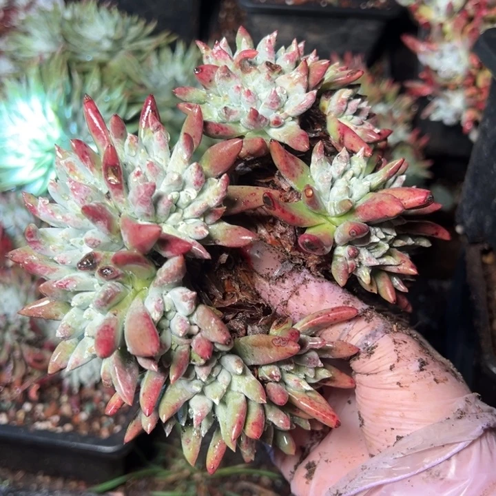 341哈哈哈哈哈哈哈哈