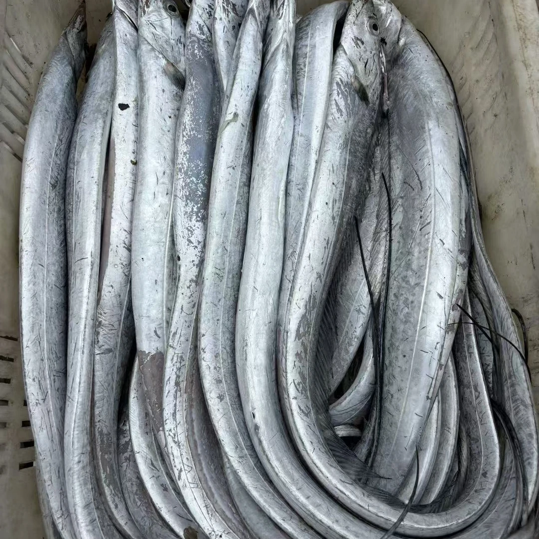 渤海湾刀鱼 2.9-3.1 斤/（速冻发货，有掉鳞和个别破腹属于正常）