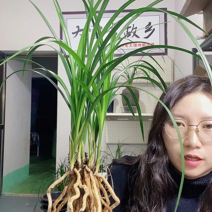 完全开放现在发大大大大大大大