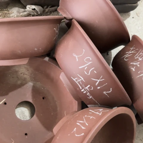 100-6。   29.5-12。