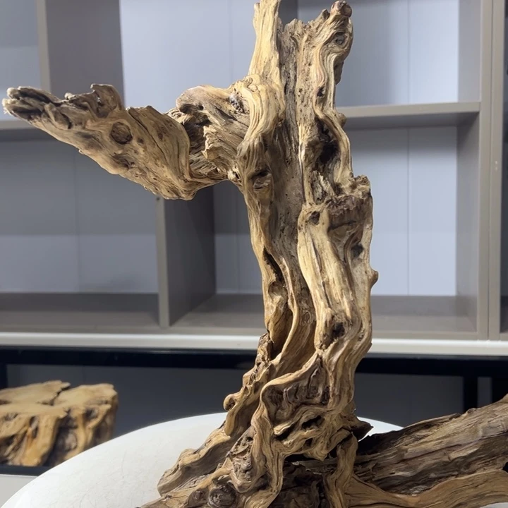 木石榴木榴疤风化木摆件