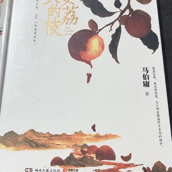 长安的荔枝全新推荐