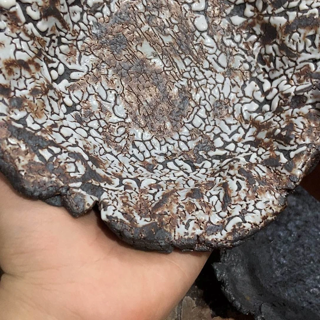 烁***503 一家茶器直播分享