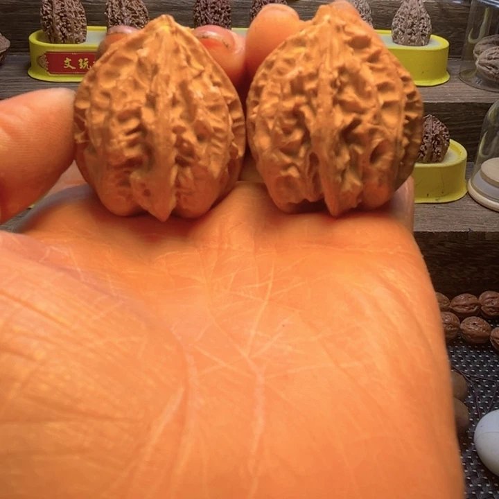 核桃13号车放漏漏漏漏