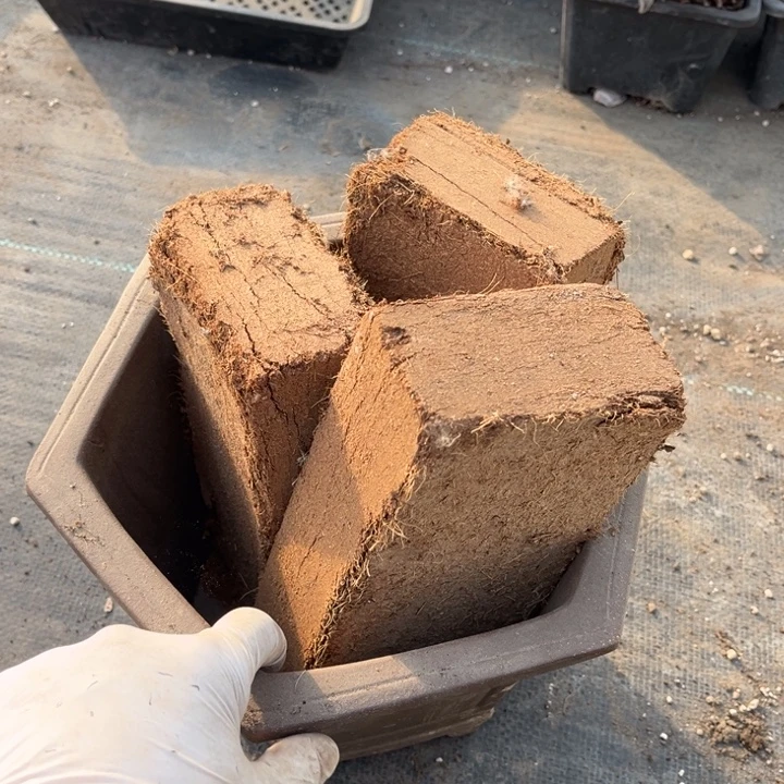 椰砖土三块一斤珍珠岩