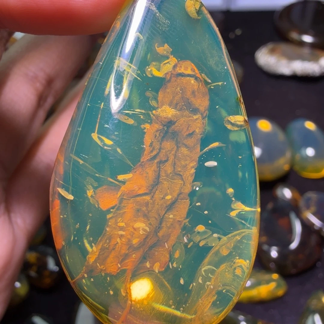 东***行琥珀未镶嵌裸石，，，