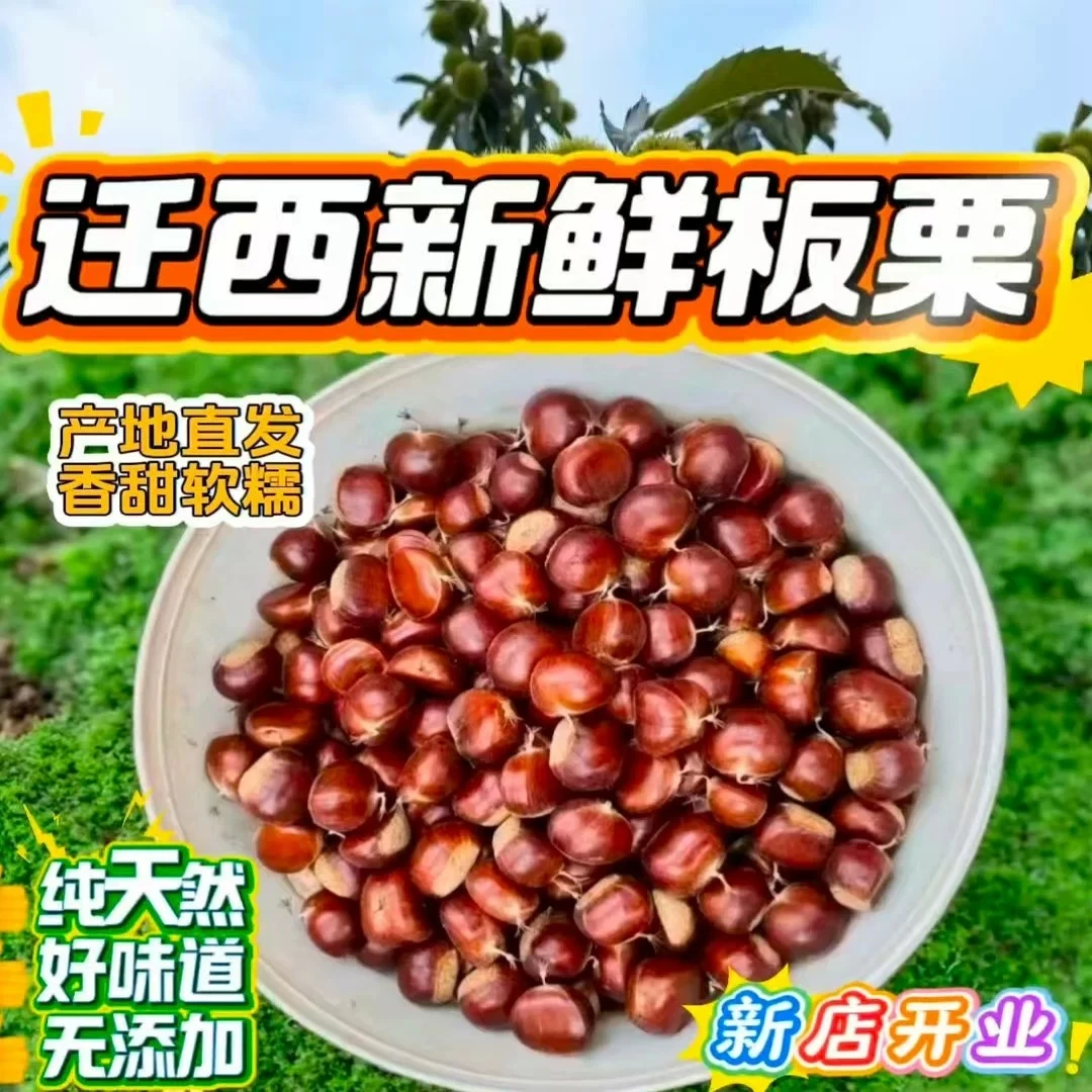 迁西板栗鲜板栗坏果包赔栗子