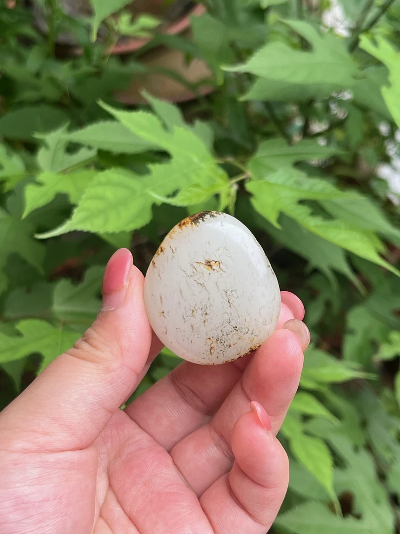 【底价已开价】50克和田玉油库料手把件图文071