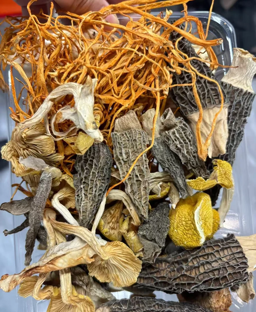 云南高山高海拔菌汤包