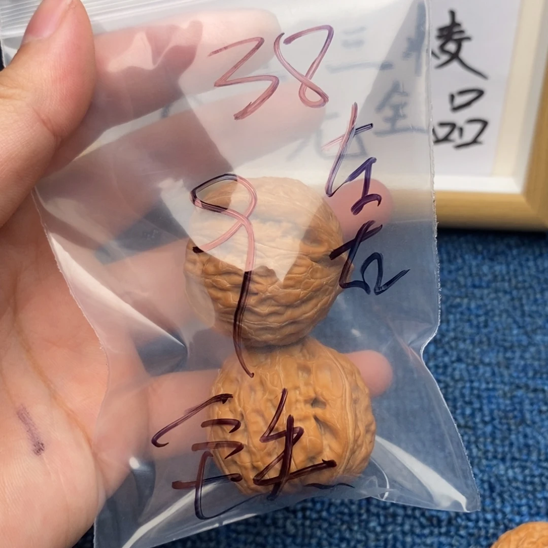 核桃哈哈哈哈哈哈哈哈哈哈哈哈哈哈哈