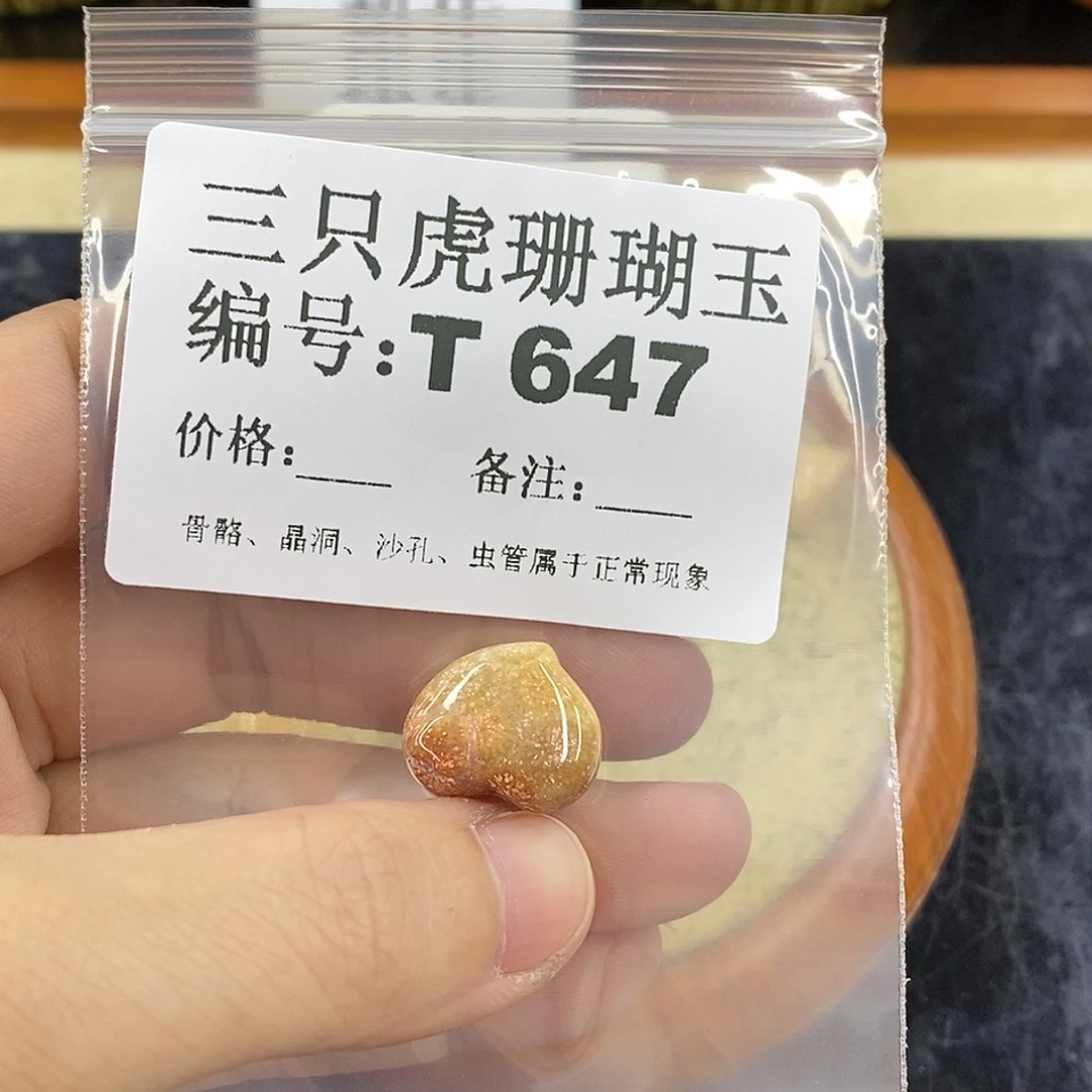 硅化珊瑚（珊瑚玉）1未镶嵌鹏**里