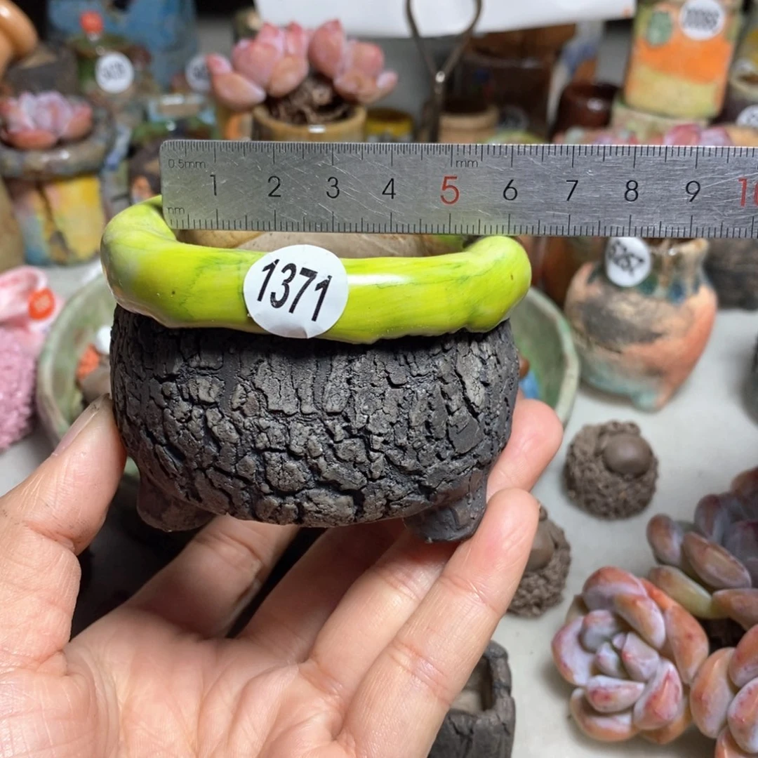 一***菇处理的，不退不换的