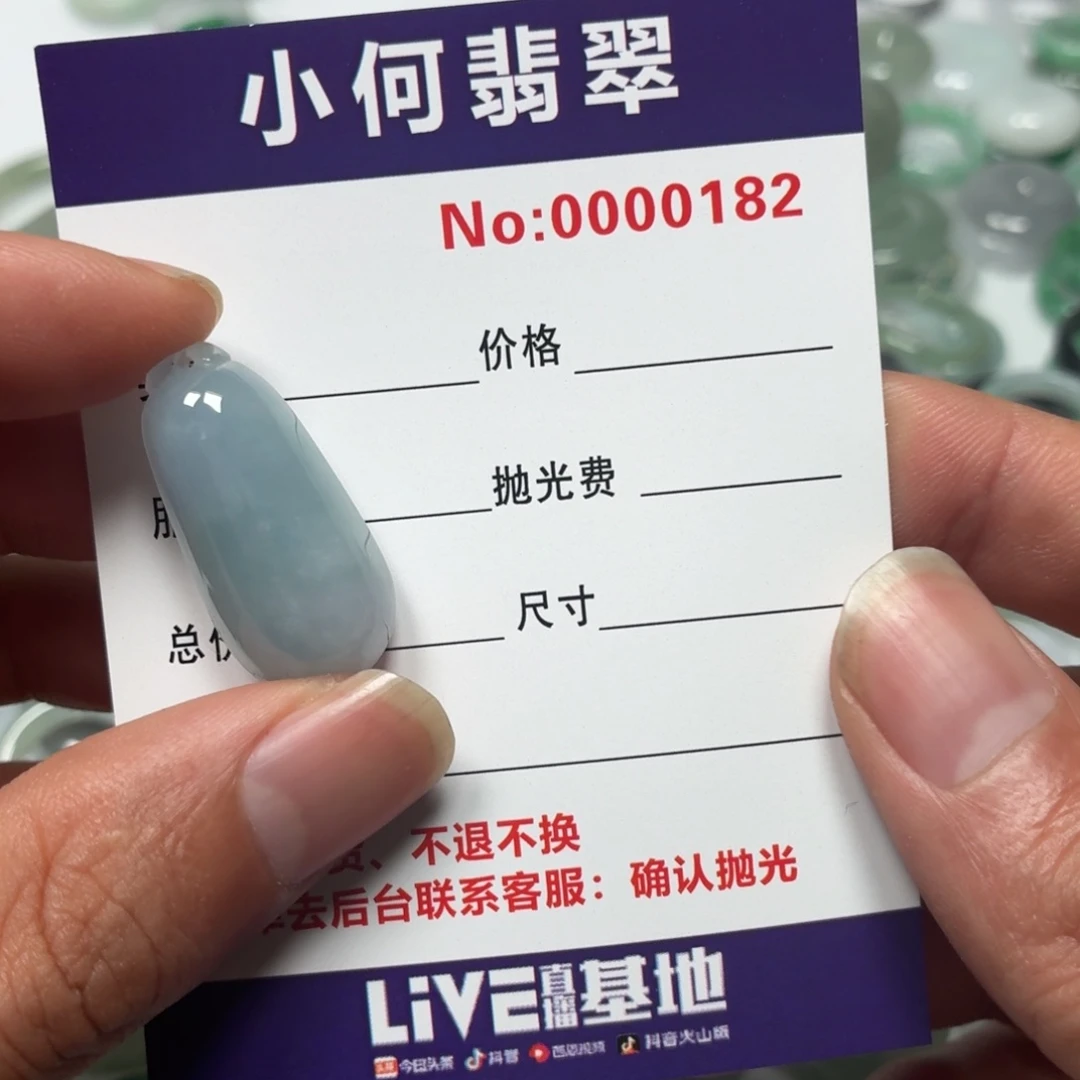 北***芳翡翠未镶嵌颈饰01