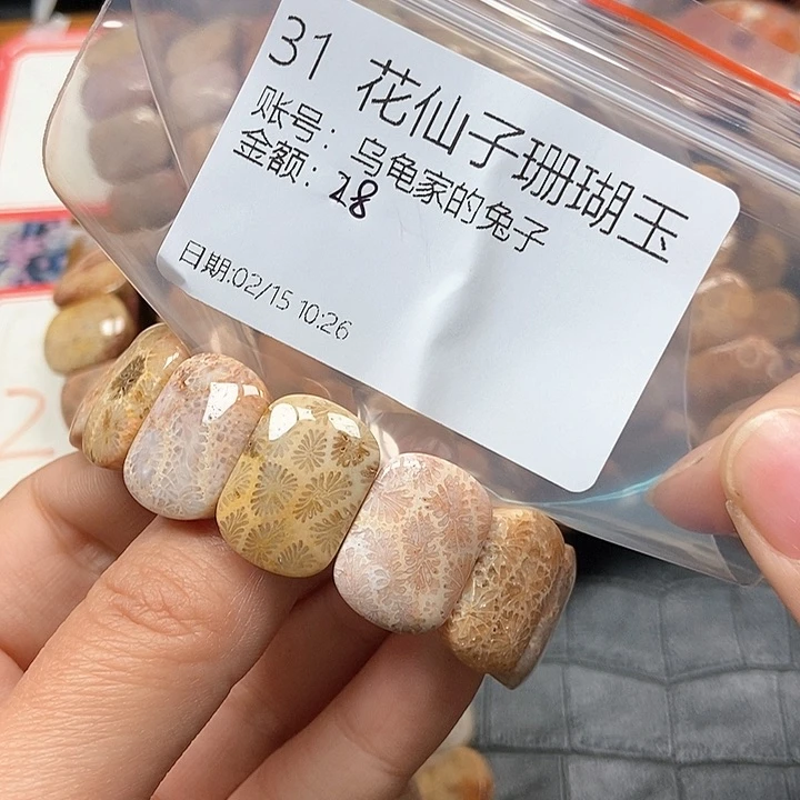 硅化珊瑚（珊瑚玉）手镯未镶嵌乌****子31