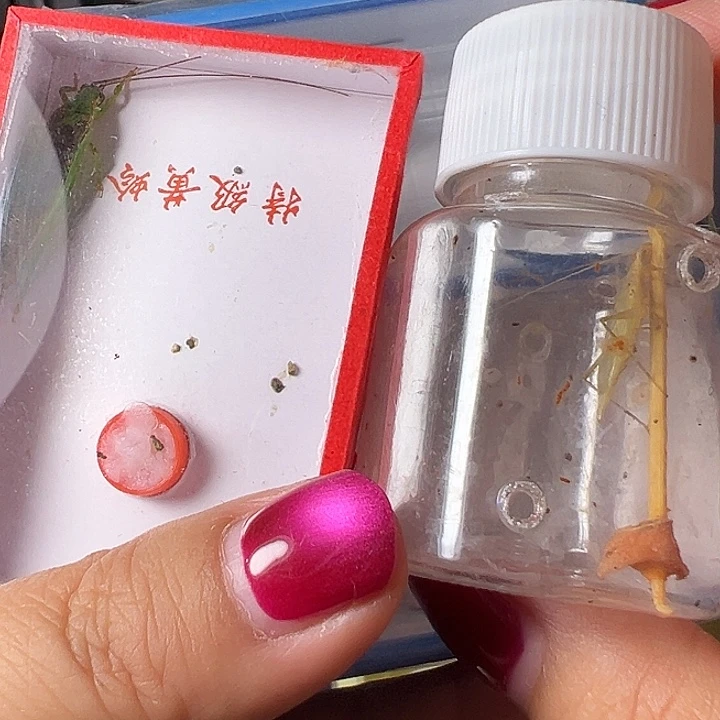 弘***～蟋蟀哈哈哈哈哈哈哈哈哈哈哈