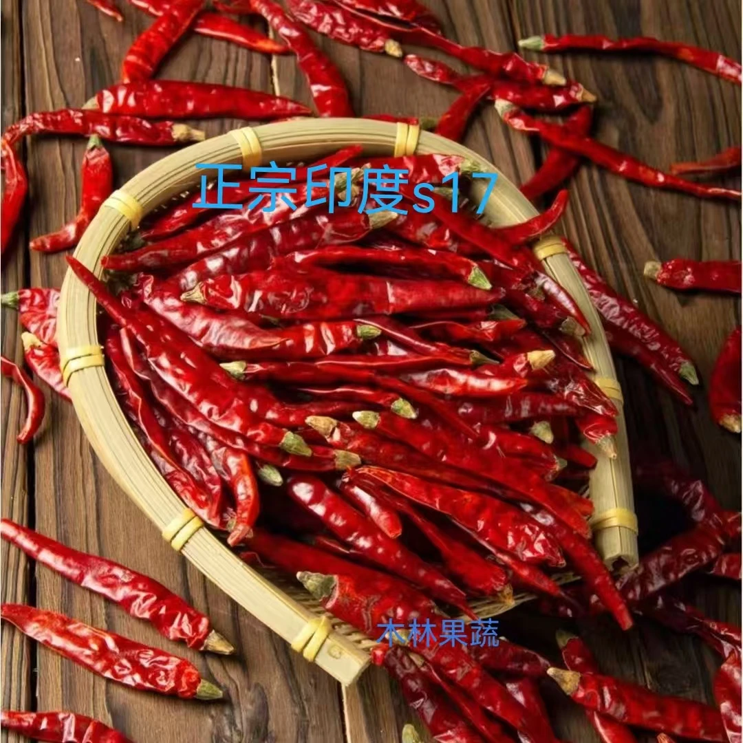 【本店不卖低端】特辣魔鬼椒干辣椒香辣干辣椒适饭店批发家用