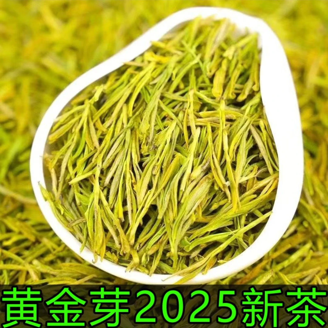 2025新茶黄金芽绿茶茶叶250克