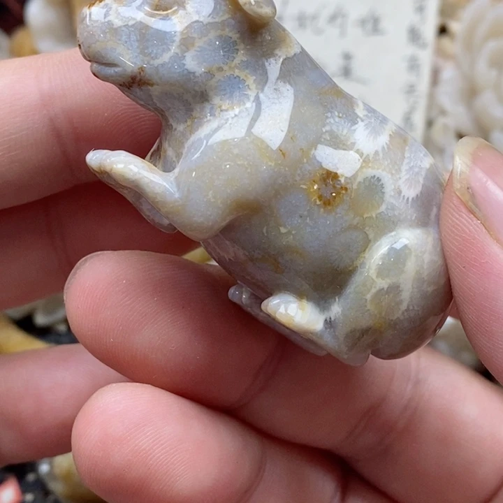 颈饰未镶嵌硅化珊瑚（珊瑚玉）