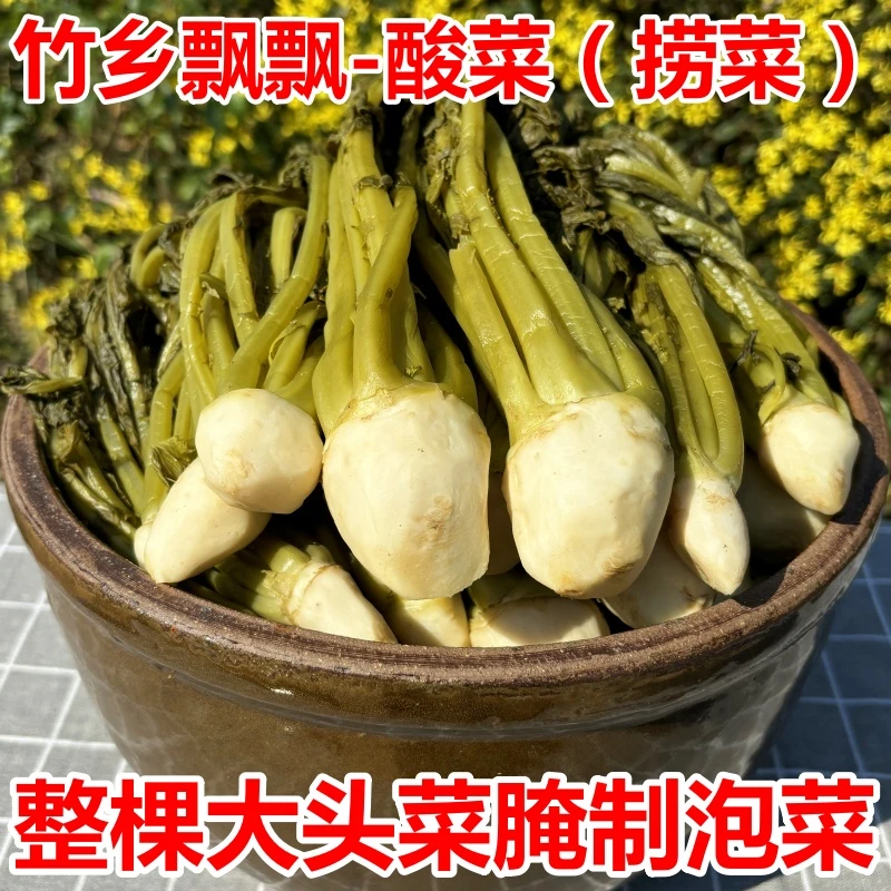 竹乡飘飘当季新鲜大头菜苗整棵酸菜腌制泡菜黄菜拌面下饭菜开胃菜