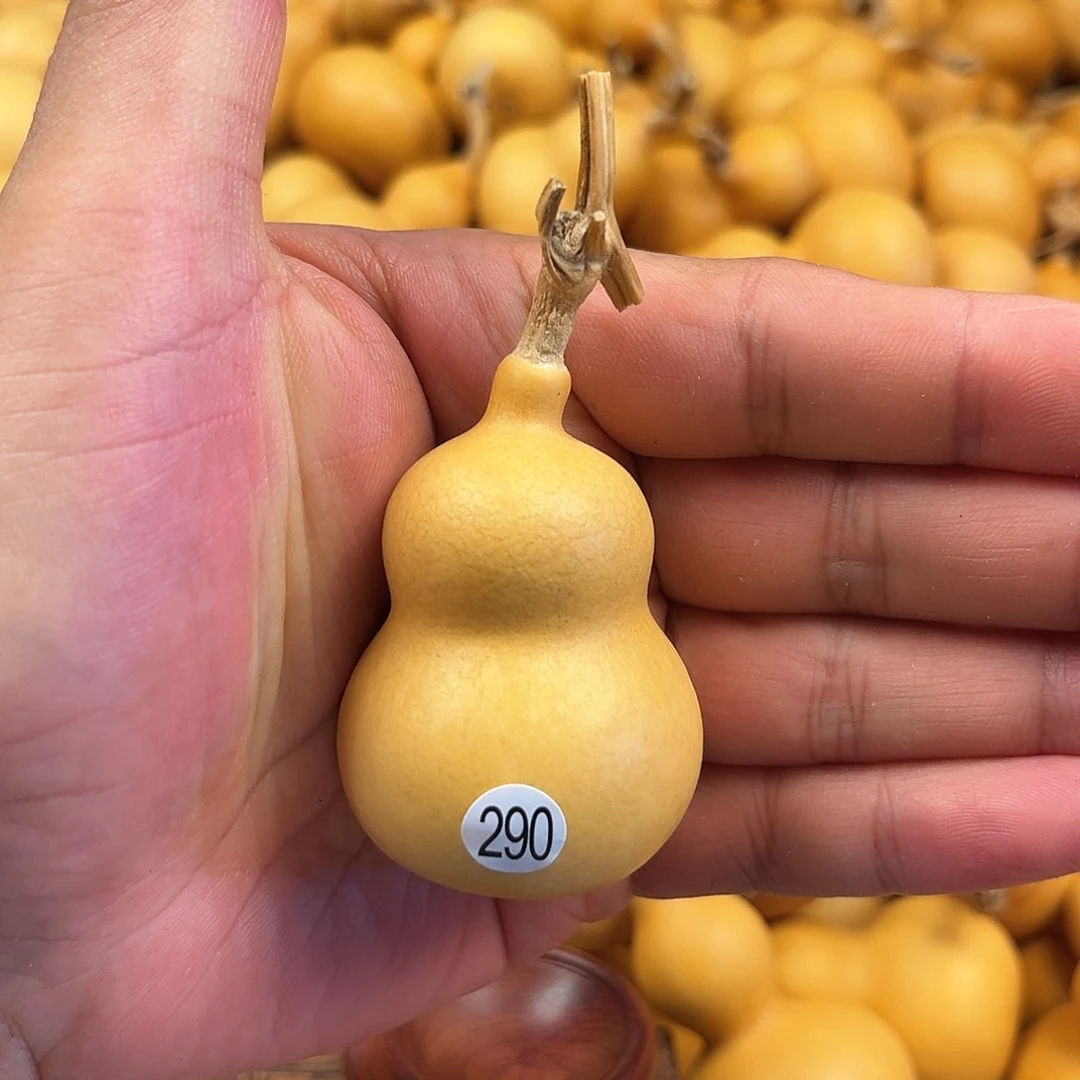 二葫芦葫芦葫芦葫芦290