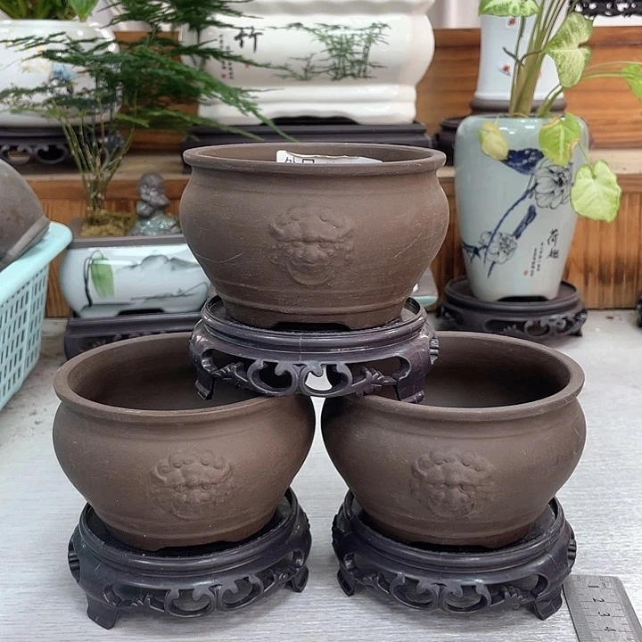 陶瓷花盆抢购福利
