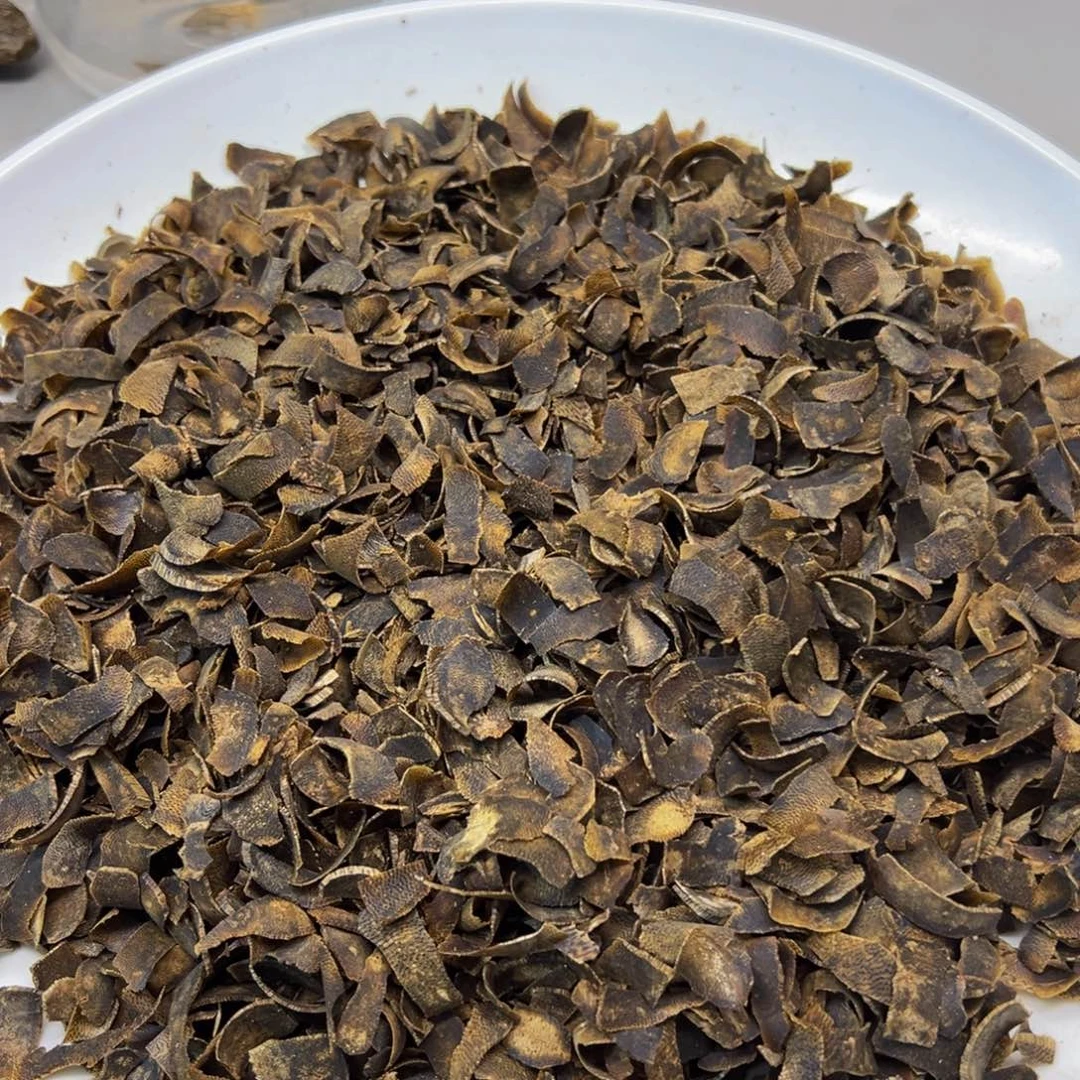 沉香沉香碎屑九九沉香霸切片30克