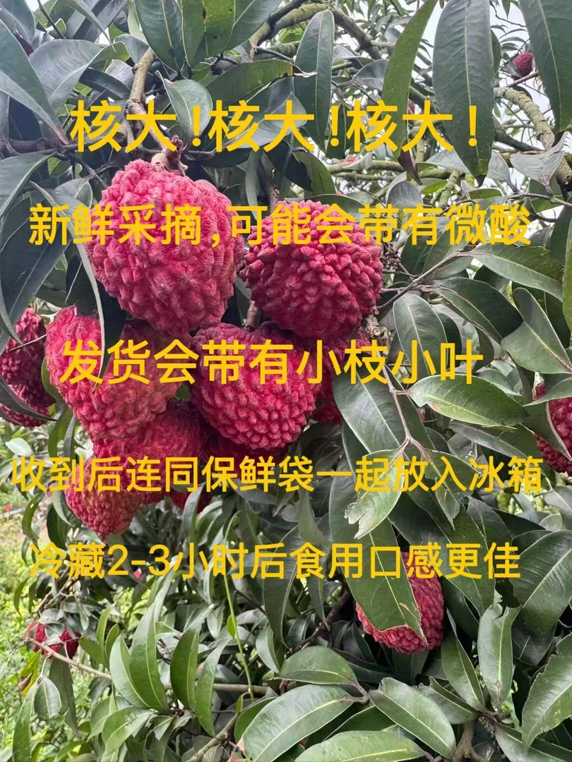 【顺丰空运】海南荔枝王 净重4.5斤 果核较大，介意勿拍