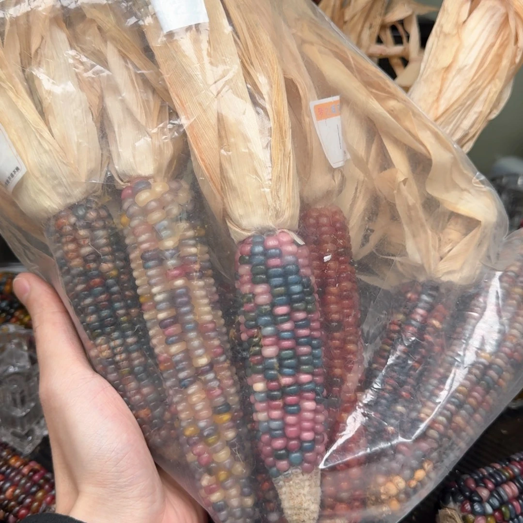 柏香籽/百香籽吊坠李****露