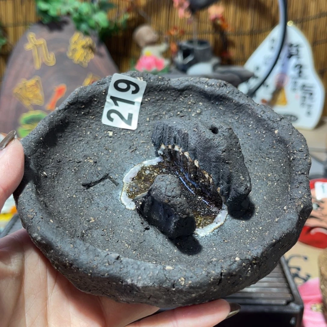 木村信弘柴烧保平