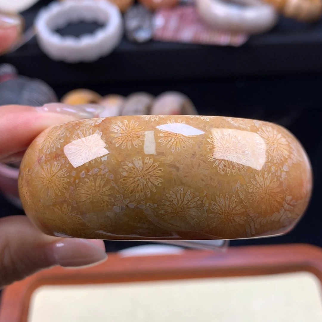 【闪购商品】硅化珊瑚（珊瑚玉）手镯未镶嵌哇噻53.4圈（18号）