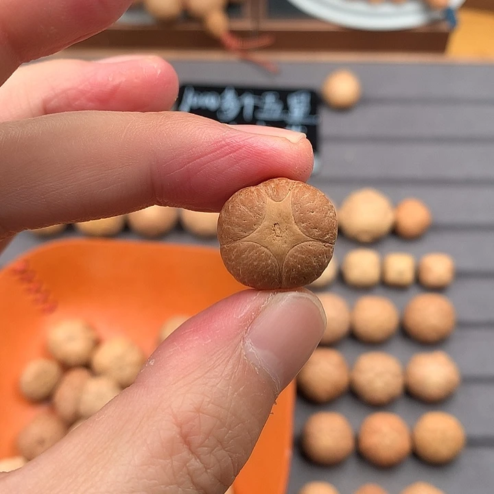 吊坠凤眼菩提19+五星，非质量问题开孔不退