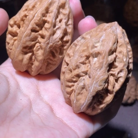 把件文玩核桃东北野生楸子小园 119