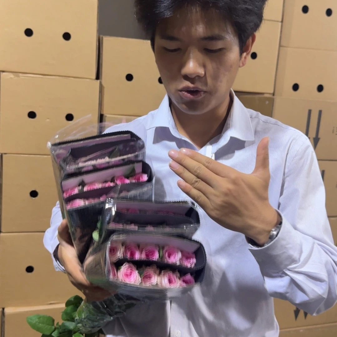 洛神玫瑰2扎包邮价秒杀