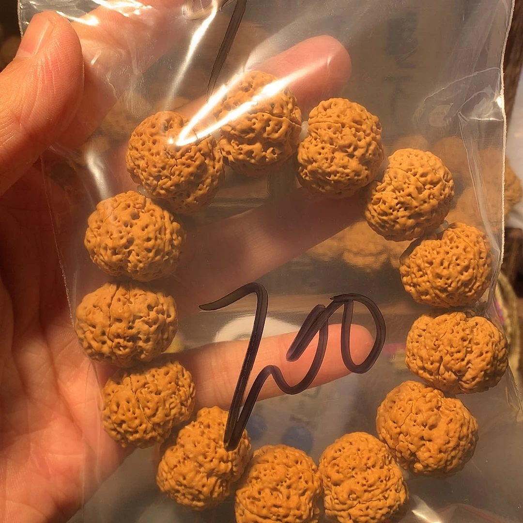 金刚菩提吊坠龙*9…………