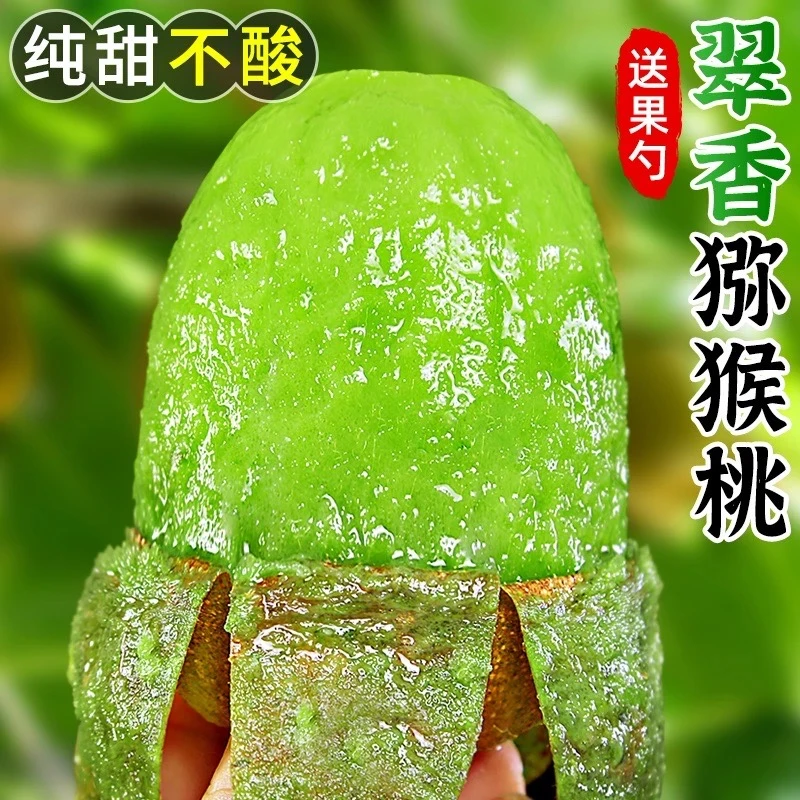 【放软再吃】陕西正宗绿心翠香猕猴桃新鲜应季香甜多汁现摘水果软糯