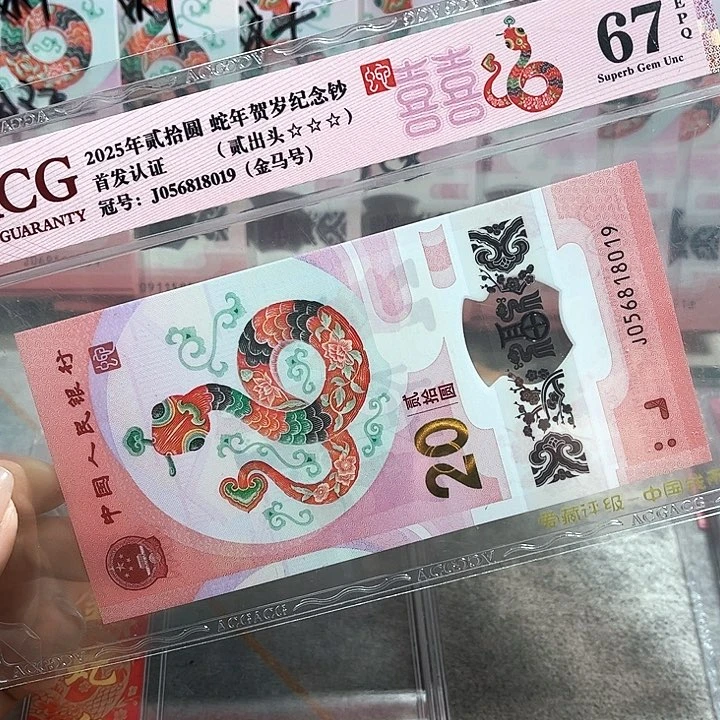 塑料056818019。。。。。。金马号 单5