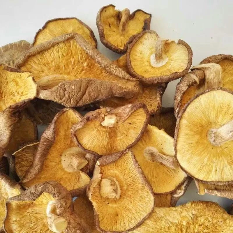 广西桂林大瑶山干香菇